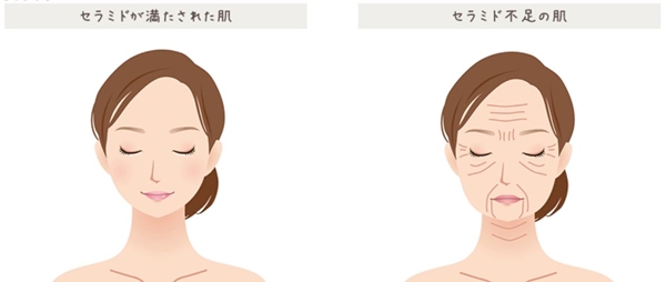 ピュアセラ変化